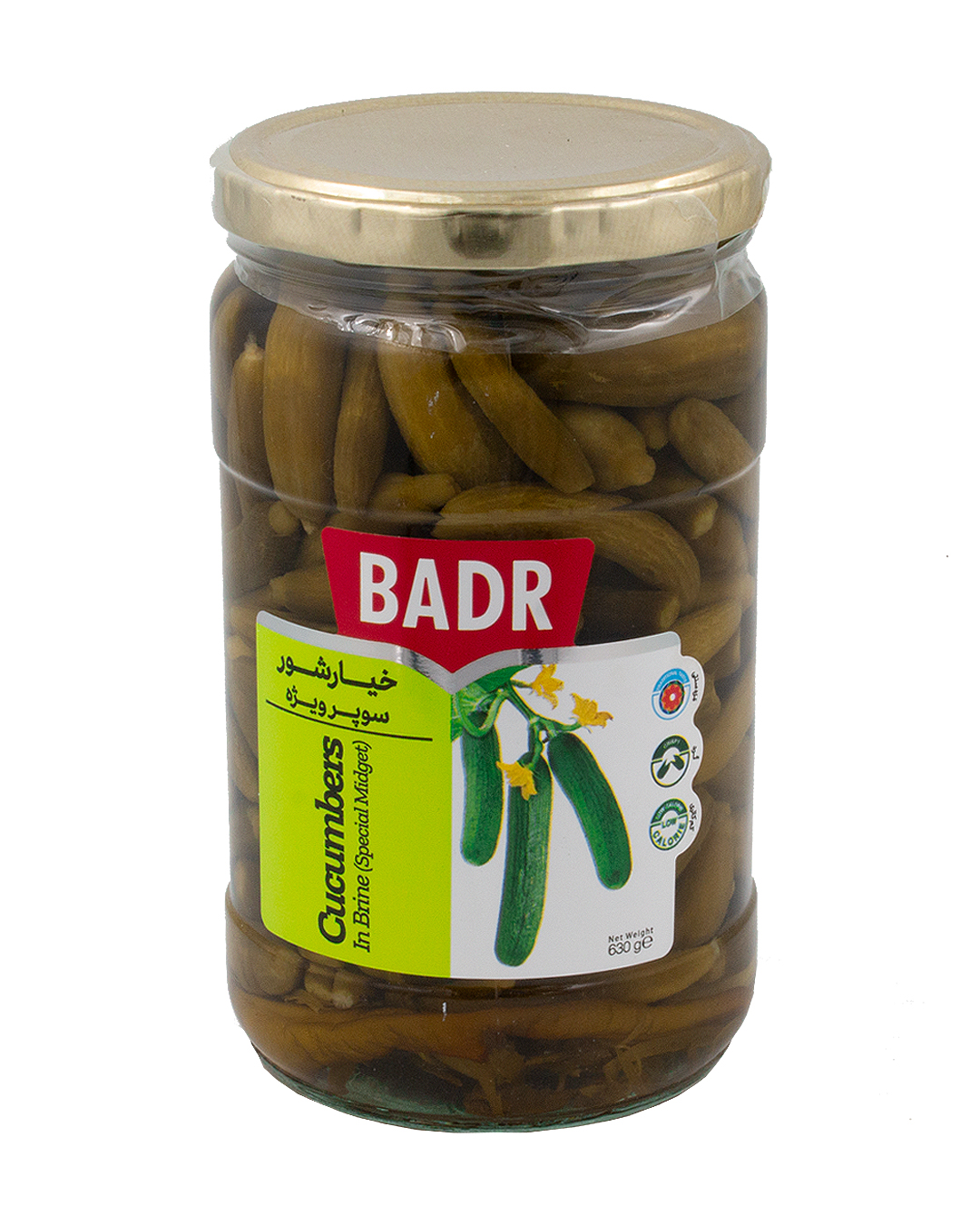Eingelegte Salzgurken Mini - Badr Super Vije