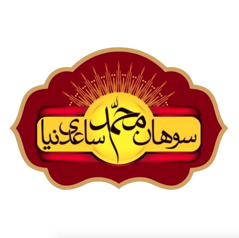 Mohammad Saedinia